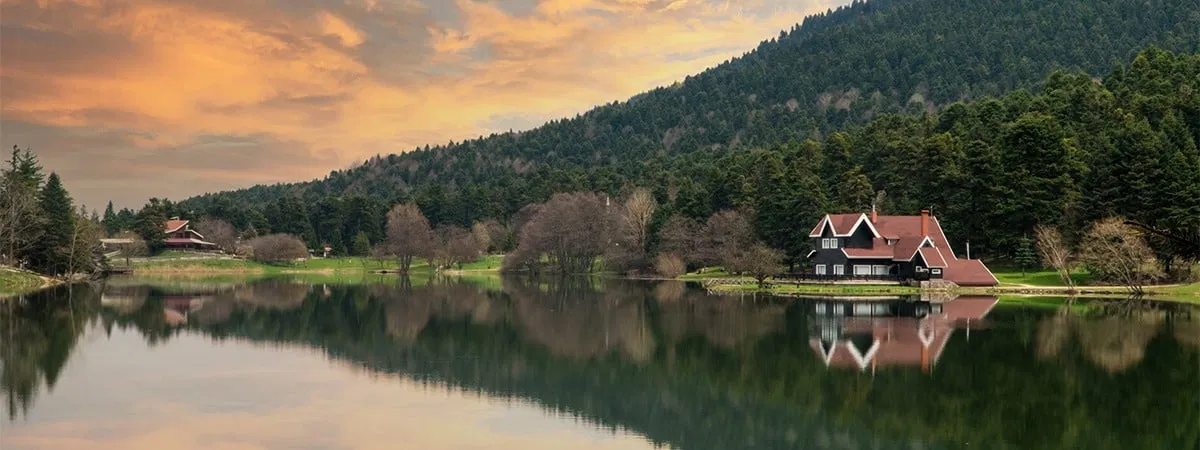Bolu