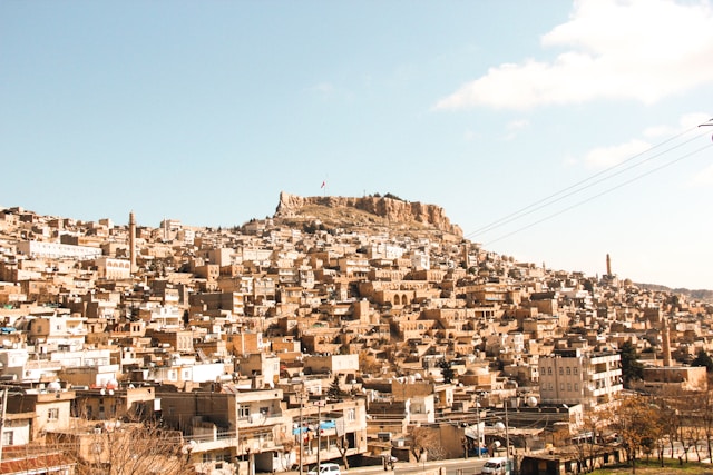 Üniversite Blog Yazısı