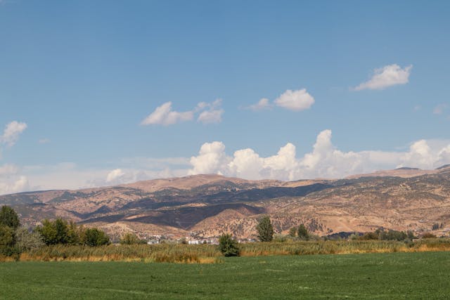 Üniversite Blog Yazısı