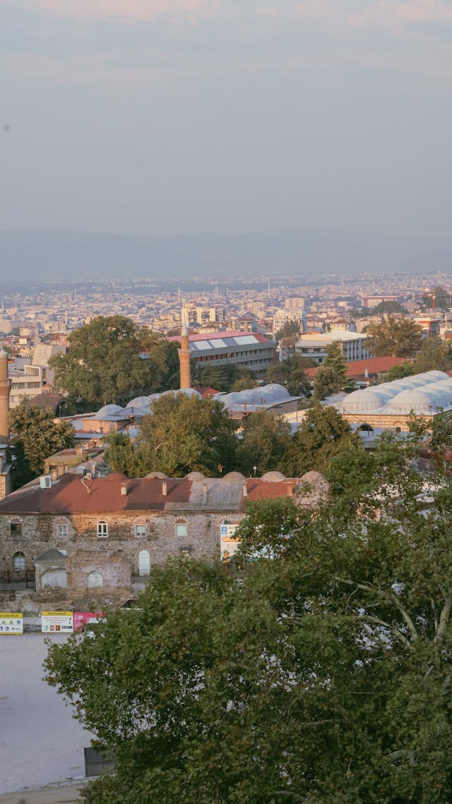 Üniversite Blog Yazısı